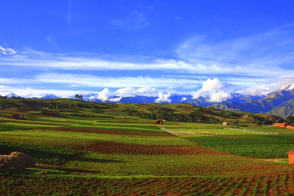 Campos de cultivo y cordillera nevada en los Andes
